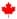 maple-leaf